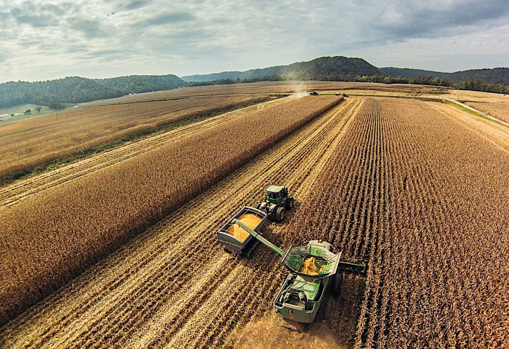 An overhead image of a combine and a tractor working in a cornfield.