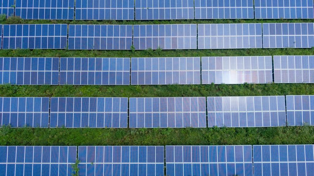 Rows of solar panels